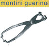 montini guerino