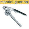 montini guerino